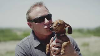 Why choose CANIDAE Pet Foods?