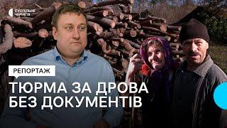 "Більшість жителів сіл на Чернігівщині — порушники": яка відповідальність за зберігання дров