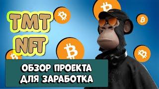 TMT NFT обзор проекта для заработка USDT