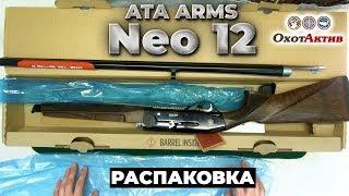 ATA ARMS NEO 12 в деревянном и пластиковом исполнении. Краткий обзор и комплектация поставки.