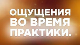 Ощущения во время практики. 10 выпуск Бесплатного курса