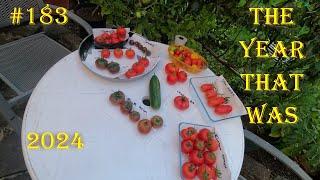 # 183 | 2024 round up in pictures and videos | packet to plate