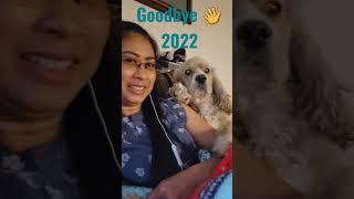 Nic said goodbye 2022 and see you at 2023 #cockerspaniel #shorts #dogs