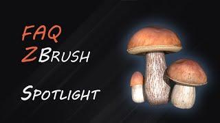 Цвет и текстуры Spotlight ZBrush | FAQ-12