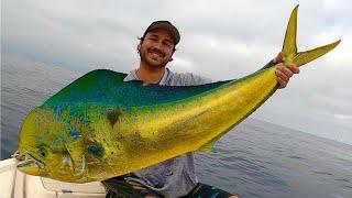 INSANE Offshore Dorado Fishing in Southern California (Kelp Paddy Mahi Mahi)