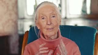 Meet the 2021 Templeton Prize Winner; Dr. Jane Goodall