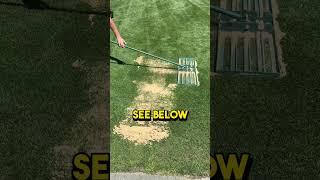 New YT series all about fixing your bump lawn! #level #lawn #diy #smooth #sand #compost #leveling