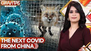 Next Covid From China: Killer Virus Found in Chinese Fur Farms | Gravitas