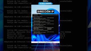 Cómo saber mi Dirección IP en Windows 11 |  #windows #cmd #tutorial