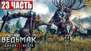 ПОЛНОЕ ПРОХОЖДЕНИЕ ВЕДЬМАК 3 RTX [4K]  Часть 23  The Witcher 3 Wild Hunt На Русском  На ПК