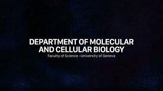 Department of Molecular and Cellular Biology (UNIGE)