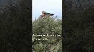 AirJavelin Airgun Arrow for small game hunting