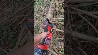 Milwaukee mini chainsaw