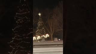 Courthouse Christmas #shorts
