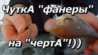 ПашАсУралмашА:-"ЧуткА "фанеры" на чертА!))