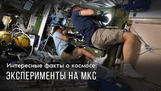 Эксперименты на МКС