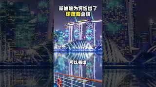 新加坡为何选出了印度裔总统？华人特权｜新加坡华人｜华人｜尚曼达