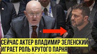 Зеленский ПРЕДАЛ украинский народ! Небензя в ООН кратко описал действия президента Украины