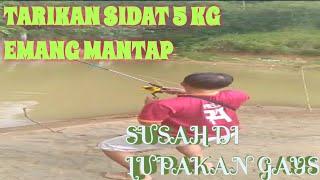 tarikan sidat babon ngamuk di sungai ciwulan || mancing sidat di sungai ciwulan