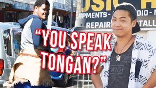 Asian guy speaks perfect Tongan in South Auckland 