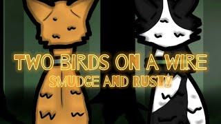 { Two birds on a wire | Ft. Smudge and Rusty | WC }