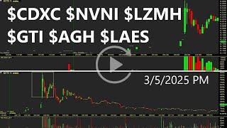 $CDXC $NVNI $LZMH $GTI $AGH $LAES PM Top Stocks Replay & Review