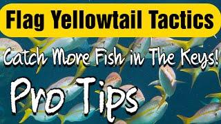 Yellowtail Snapper Fishing in the Keys - TIPS YOU NEED TO WATCH