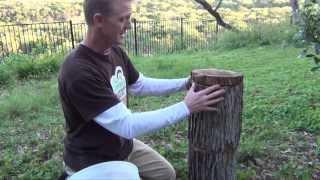 Grow Mushrooms on Stumps and Totems