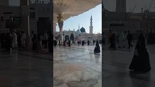 #love #kaaba #song #kaba #beautiful #makkahmadeenah #music #kabalive #bollywood #makkhamadina