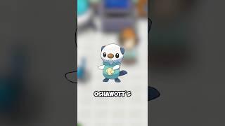TODDLEWOTT! The unofficial pre evolution to Oshawott #pokemon #oshawott