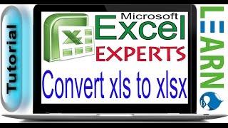 How to convert Microsoft Excel from xls to xlsx