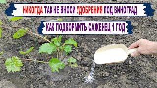 Как ПОДКОРМИТЬ молодой САЖЕНЕЦ ВИНОГРАДА. Даже не ДУМАЙ ТАК вносить удобрения на винограднике.