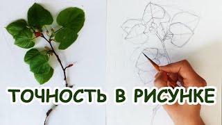 Как нарисовать веточку с натуры [Елизавета Светлая]