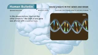 Science Bulletins: Abuse Lingers in the Genes and Brain