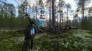 ЛЕСНАЯ ХИЖИНА ОТШЕЛЬНИКА. ВЕРНУЛСЯ СО СЛЕЗАМИ НА ГЛАЗАХ. УБОРКА В ХИЖИНЕ. ГОТОВЛЮ БЕЛЫЕ ГРИБЫ