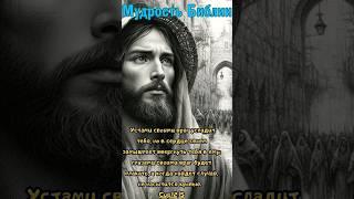 Устами своими враг уследить тебя, но в сердце своём замышляет... #библия #цитаты #враги