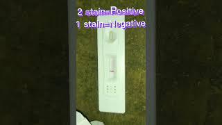pregnancy test at home. #shorts  #subscribe #short
