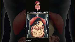When you eat ️, food is first broken down in your mouth .