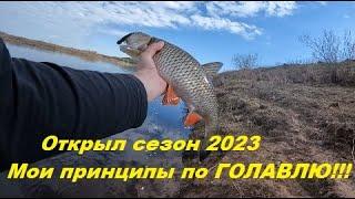 Голавль на Спиннинг!!!Где? На что?  Как?Открытие рыболовного сезона 2023!