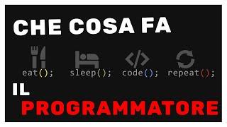 COSA FA IL PROGRAMMATORE | Vita Da Founder