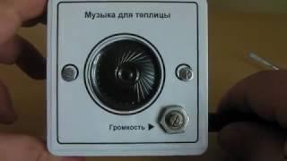 Музыка для теплицы