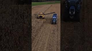 Kukuřice na zrno #farming #agrolife #agriculture #corn #newholland