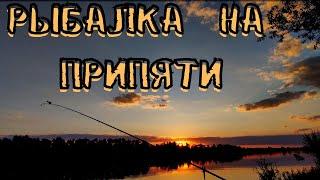 Рыбалка НА реке Припять | Мусор плывет вместе с рыбой | 2022.