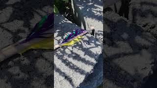 it broke