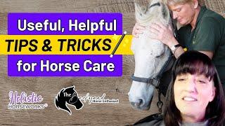 Useful, Helpful Tips & Tricks for Horse Care | April's Interview on The Backyard Horse Enthusiast