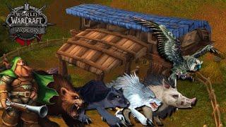 Classic World of Warcraft Hardcore - Best Hunter Pets!