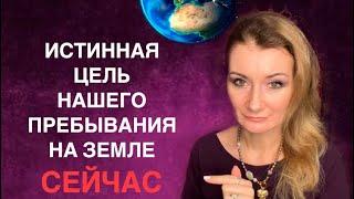 ⭐️ ВЫСШИЕ ПОПРОСИЛИ РАССКАЗАТЬ ОДИН МОЙ СОН (отрывок из видео)