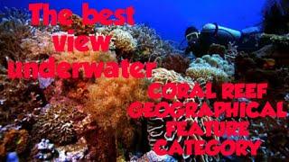 coral reef (geographical feature category)