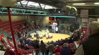 Scotland's Farming Year - Autumn
