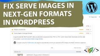 How to Fix Serve Images in Next-Gen Formats Manually in WordPress | WebP Format | Online Conversion